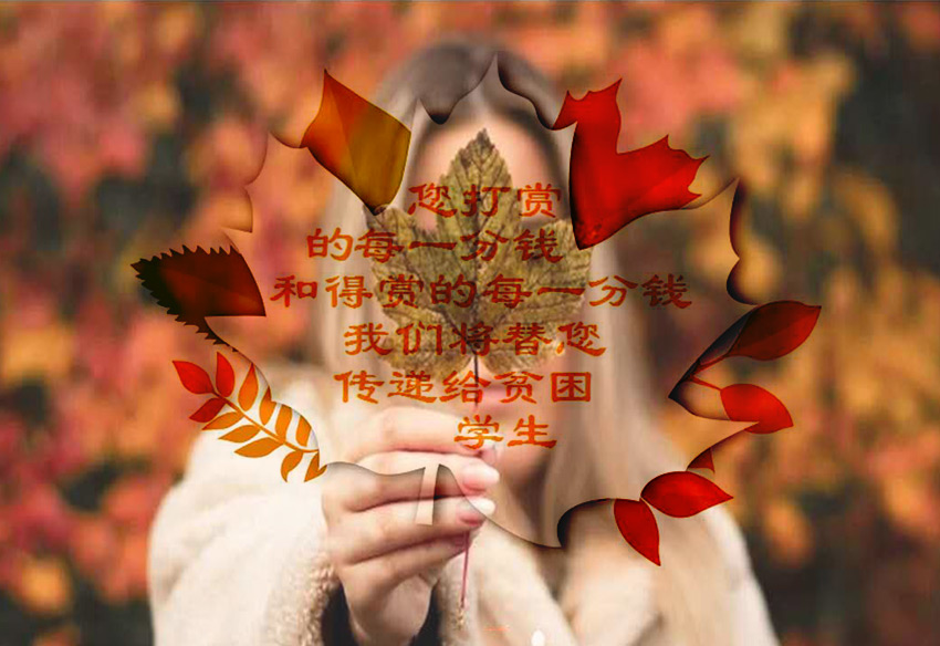楓葉傳情