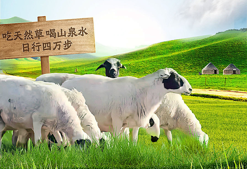 錫牧特內(nèi)蒙特產(chǎn)超市